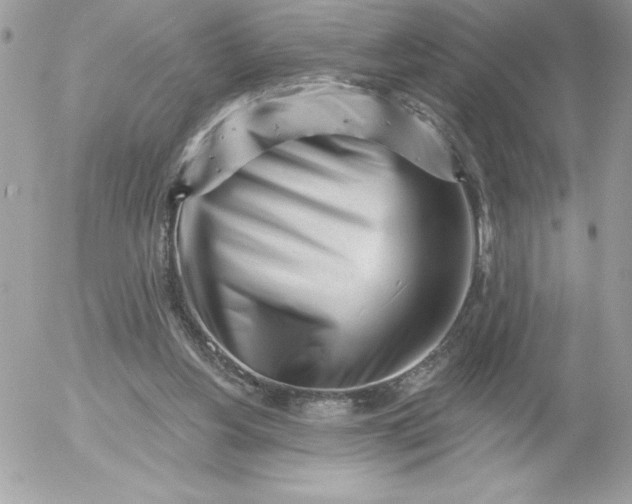 X0000052940156200507221155