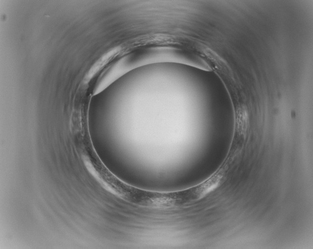 X0000052940158200507221155