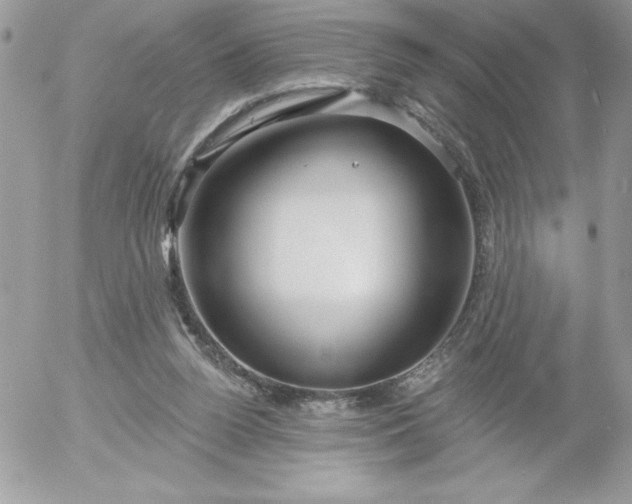 X0000052940160200507221155