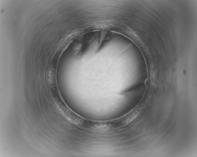 X0000052940161200507221155