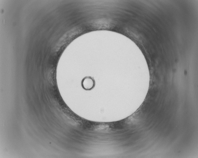 X0000052940162200507221155