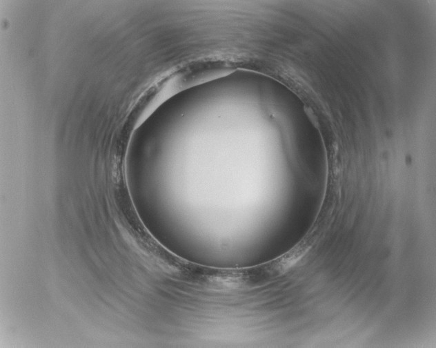 X0000052940164200507221155