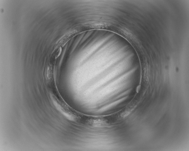 X0000052940165200507221155