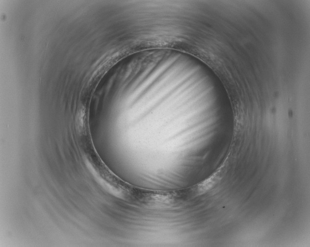 X0000052940166200507221155