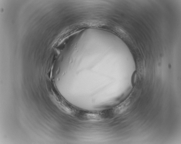 X0000052940167200507221155