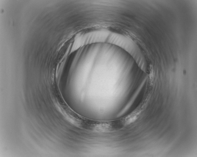 X0000052940168200507221155