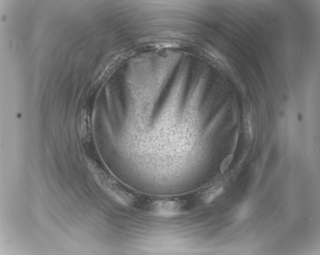 X0000052940169200507221155