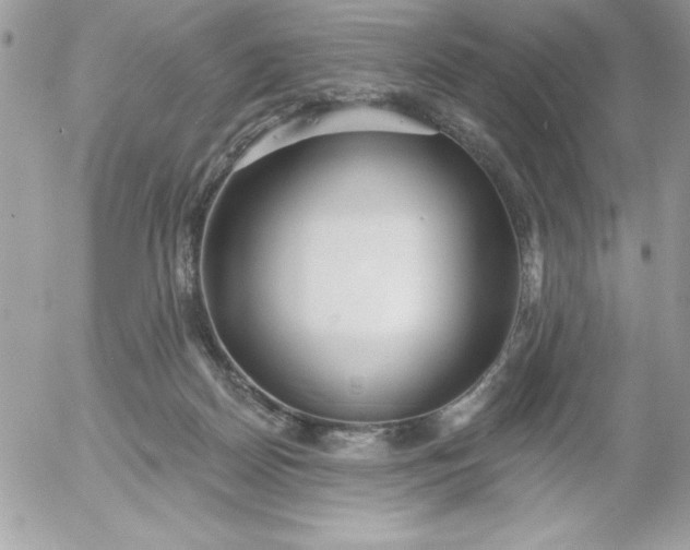 X0000052940170200507221155