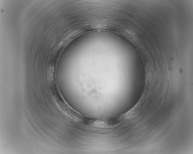 X0000052940171200507221155