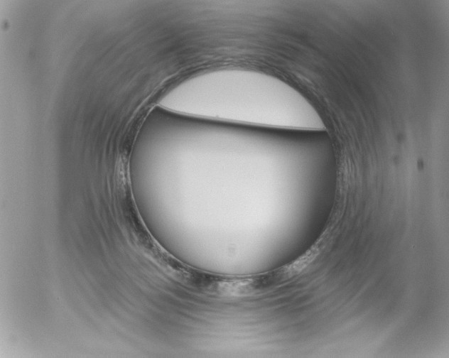 X0000052940172200507221155