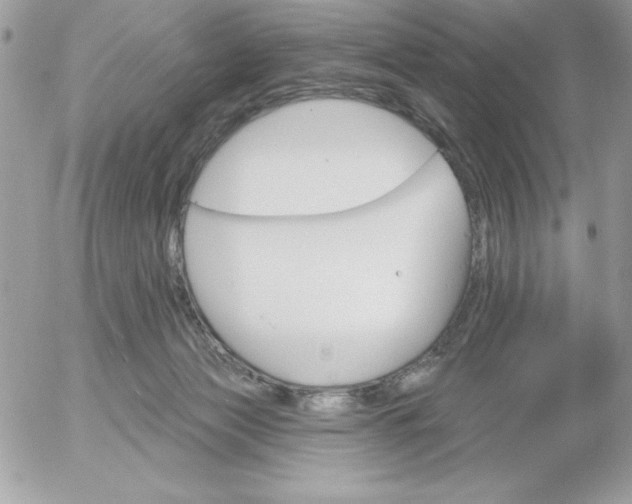 X0000052940173200507221155