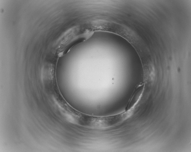 X0000052940174200507221155