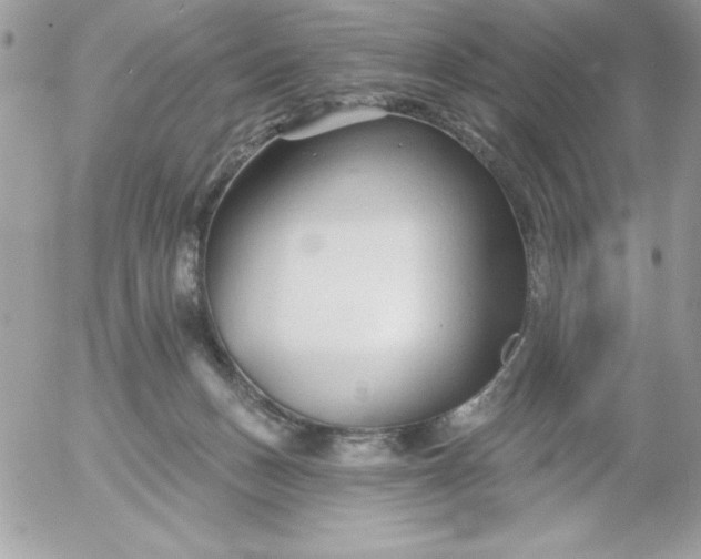 X0000052940175200507221156