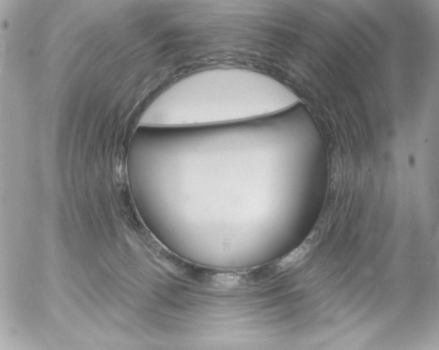 X0000052940176200507221156