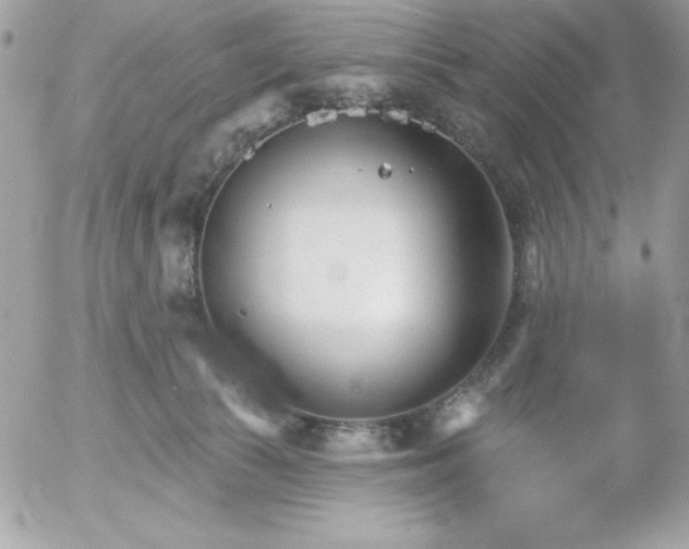 X0000052940177200507221156