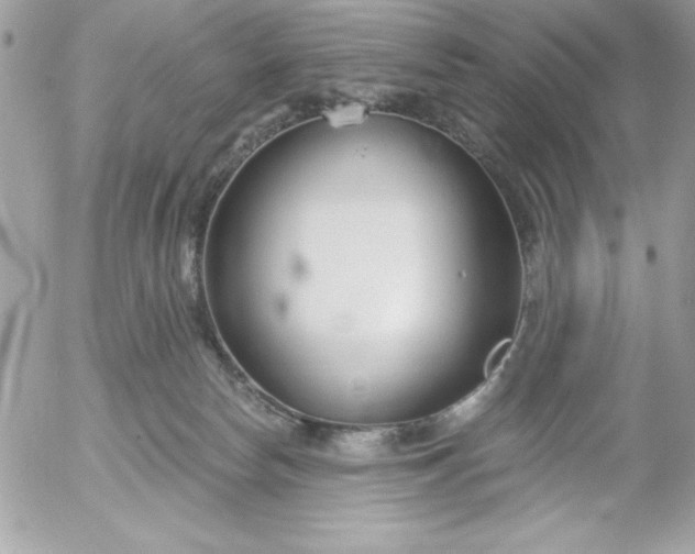 X0000052940178200507221156