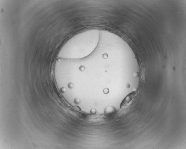 X0000052940179200507221156