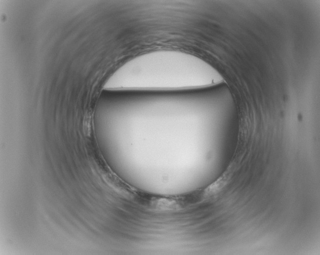 X0000052940180200507221156