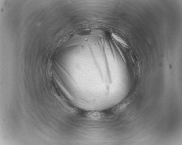 X0000052940181200507221156