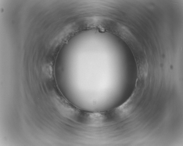 X0000052940183200507221156