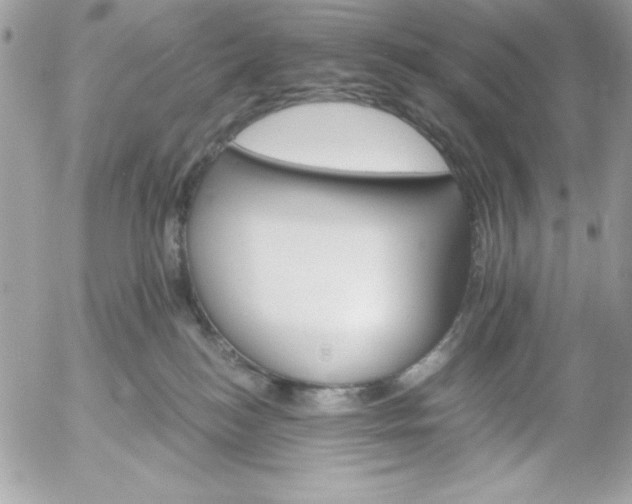 X0000052940184200507221156