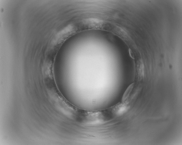 X0000052940185200507221156