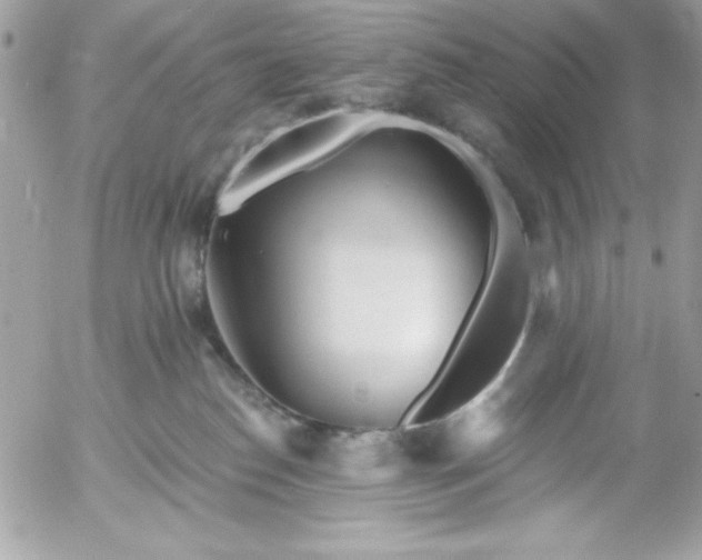 X0000052940186200507221156