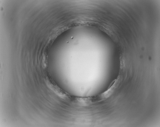 X0000052940187200507221156