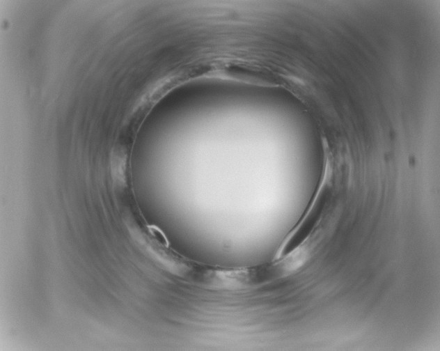 X0000052940188200507221156