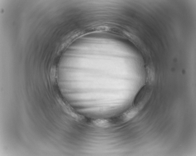 X0000052940189200507221156