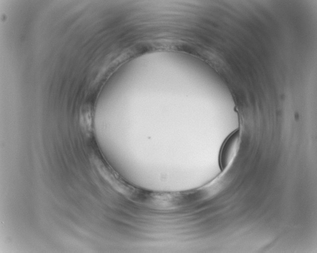 X0000052940190200507221156