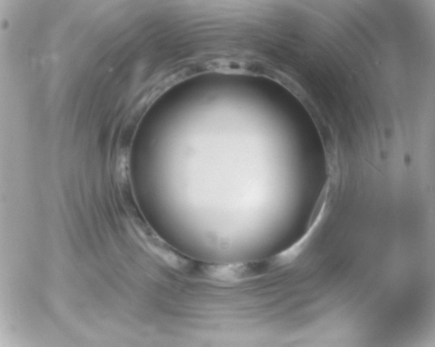 X0000052940191200507221156