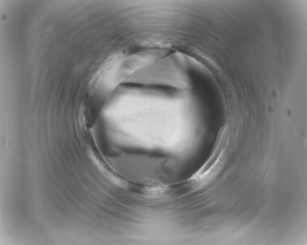 X0000052940192200507221156