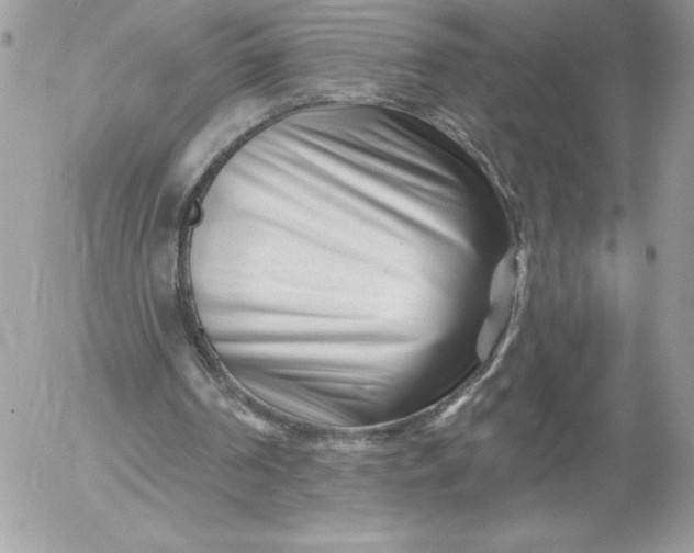 X0000052940194200507221155