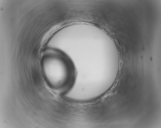 X0000052940197200507221155