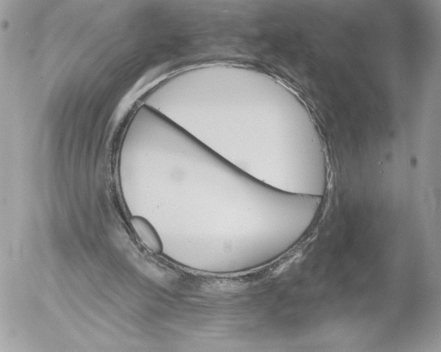 X0000052940198200507221155