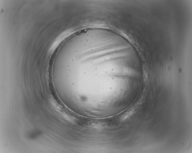 X0000052940199200507221155