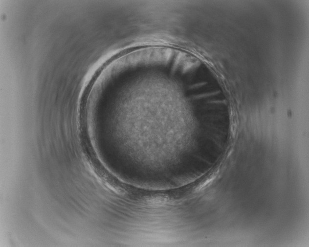 X0000052940200200507221155