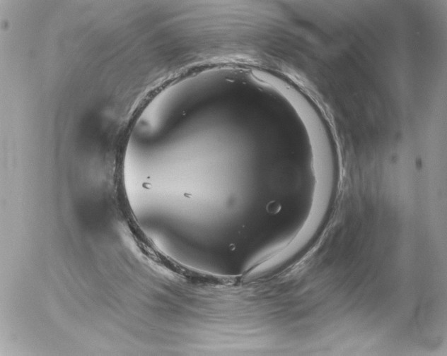 X0000052940201200507221155