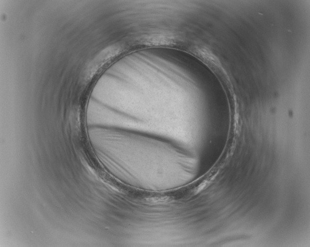 X0000052940202200507221155