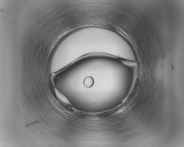 X0000052940203200507221155