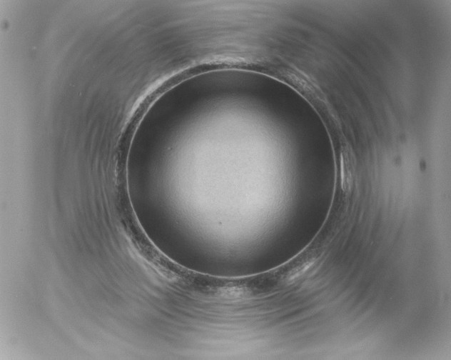 X0000052940204200507221155