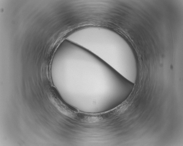 X0000052940205200507221155