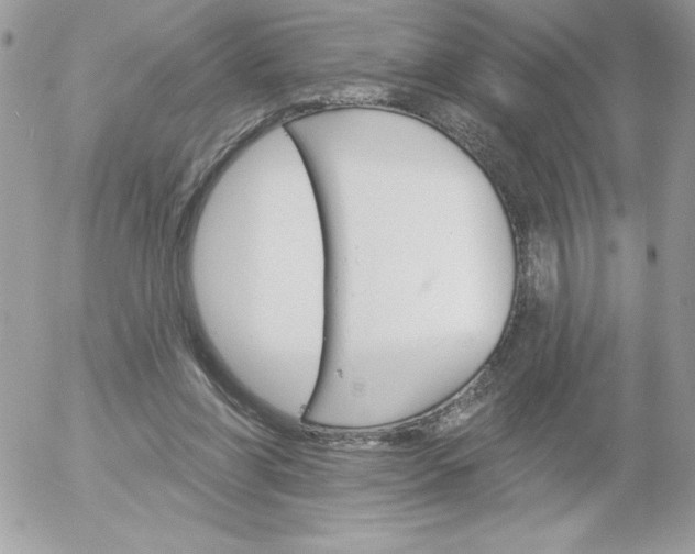 X0000052940206200507221155