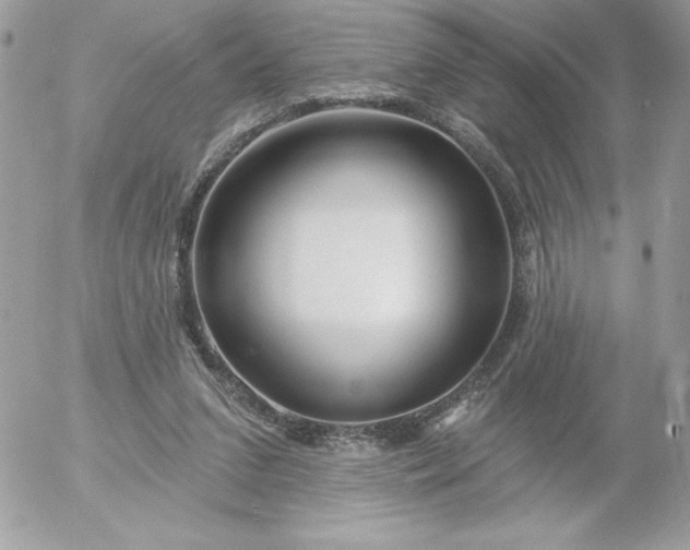 X0000052940207200507221155