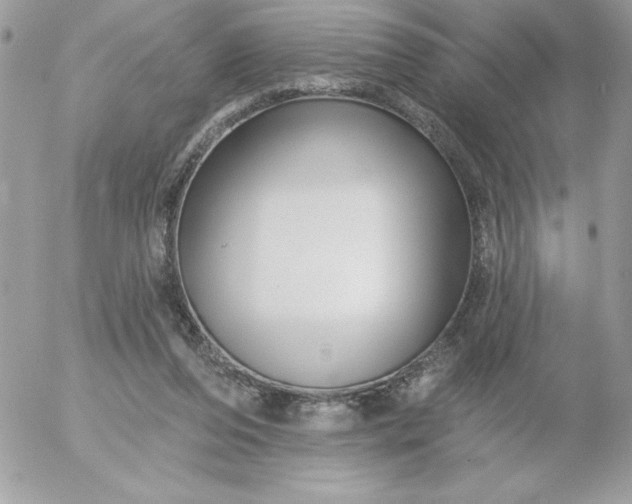 X0000052940208200507221155