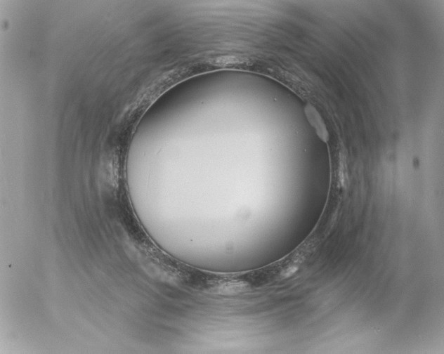 X0000052940210200507221155