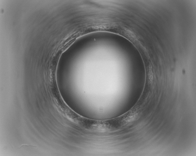 X0000052940211200507221155