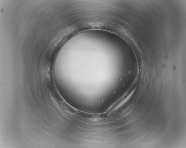 X0000052940212200507221155