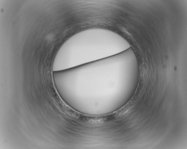 X0000052940213200507221155